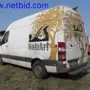 thumbnail-null-23