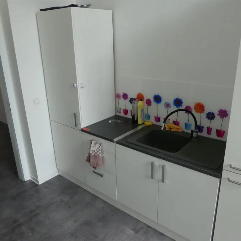 Built-in kitchen unit