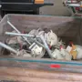 thumbnail-Scaffolding components (some from the construction site), machinery, and vehicles belonging to a construction company-3