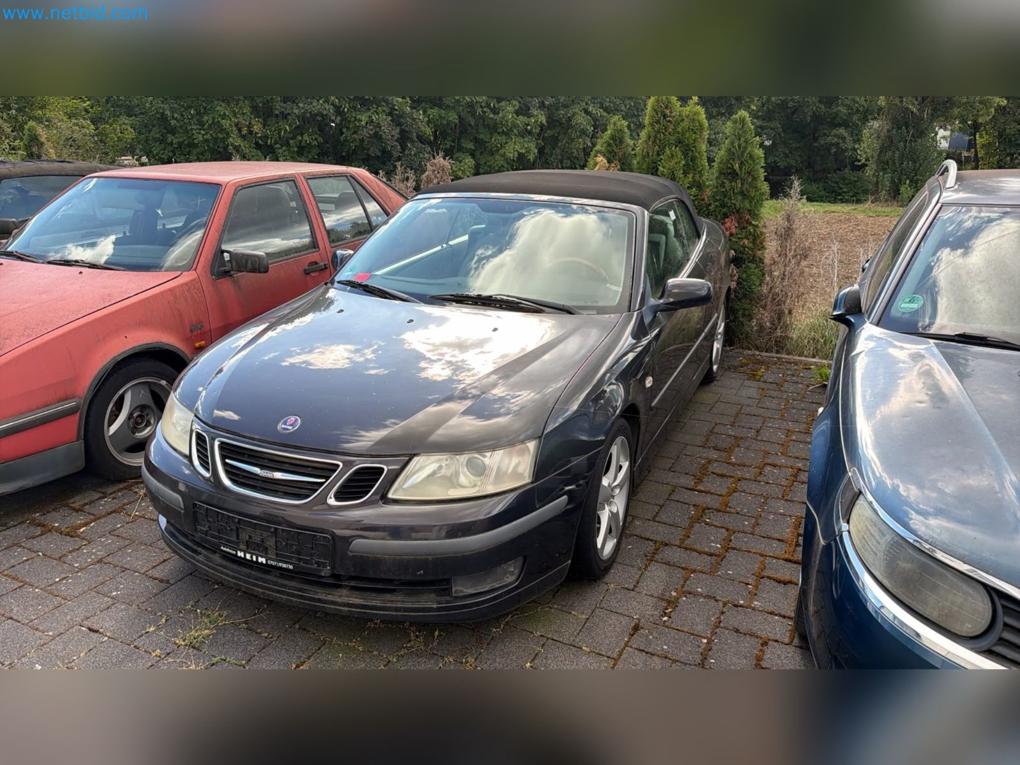 Passenger cars, electric cars, and automotive repair shop equipment at a Fiat dealership-2