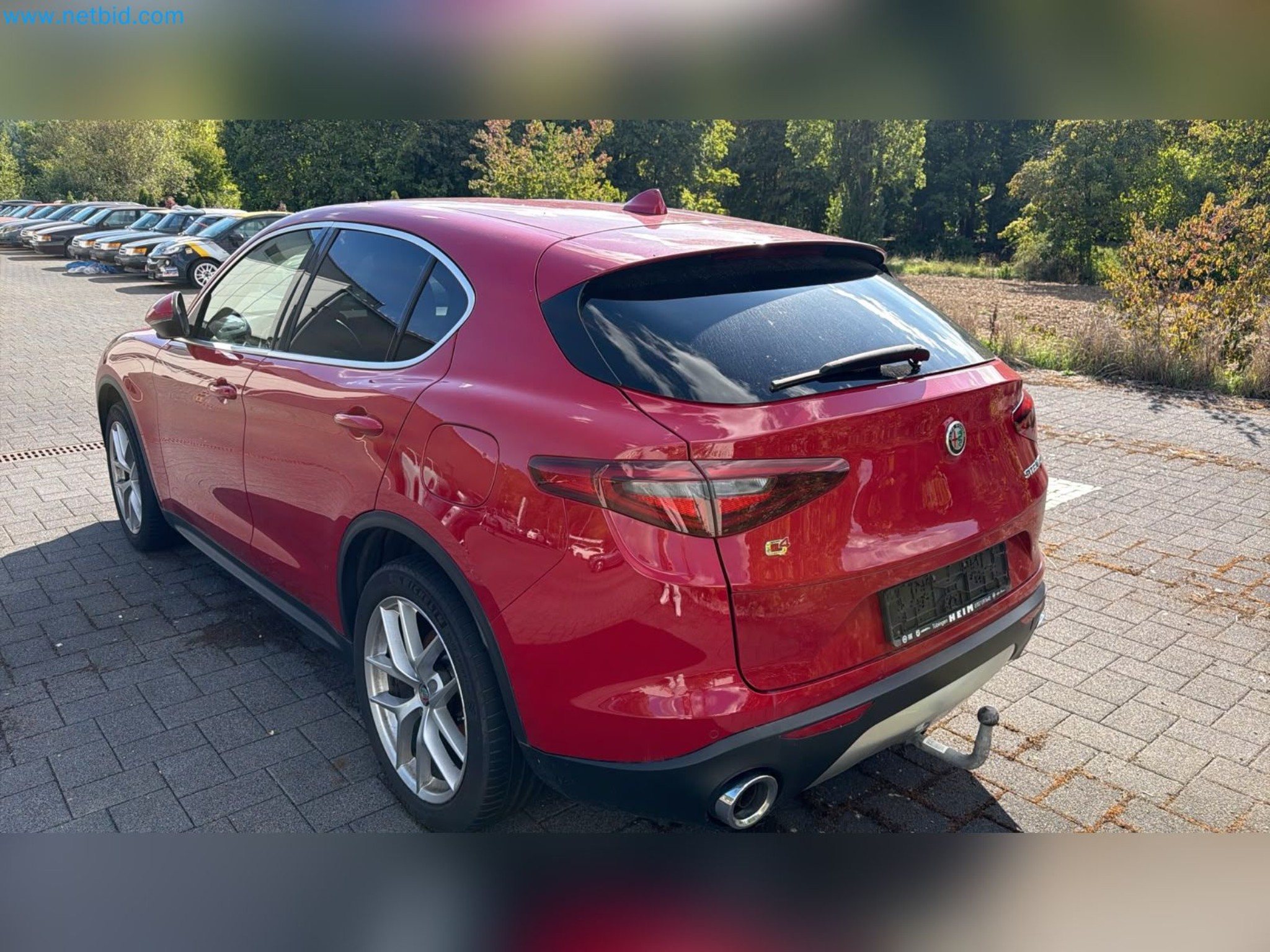 Passenger cars, electric cars, and automotive repair shop equipment at a Fiat dealership-9