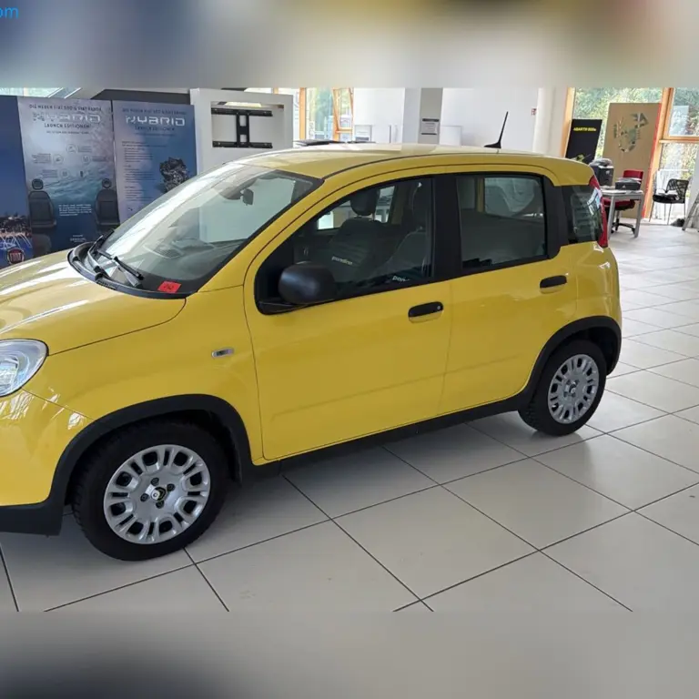 Passenger car Fiat Pandina 1.0 GSE