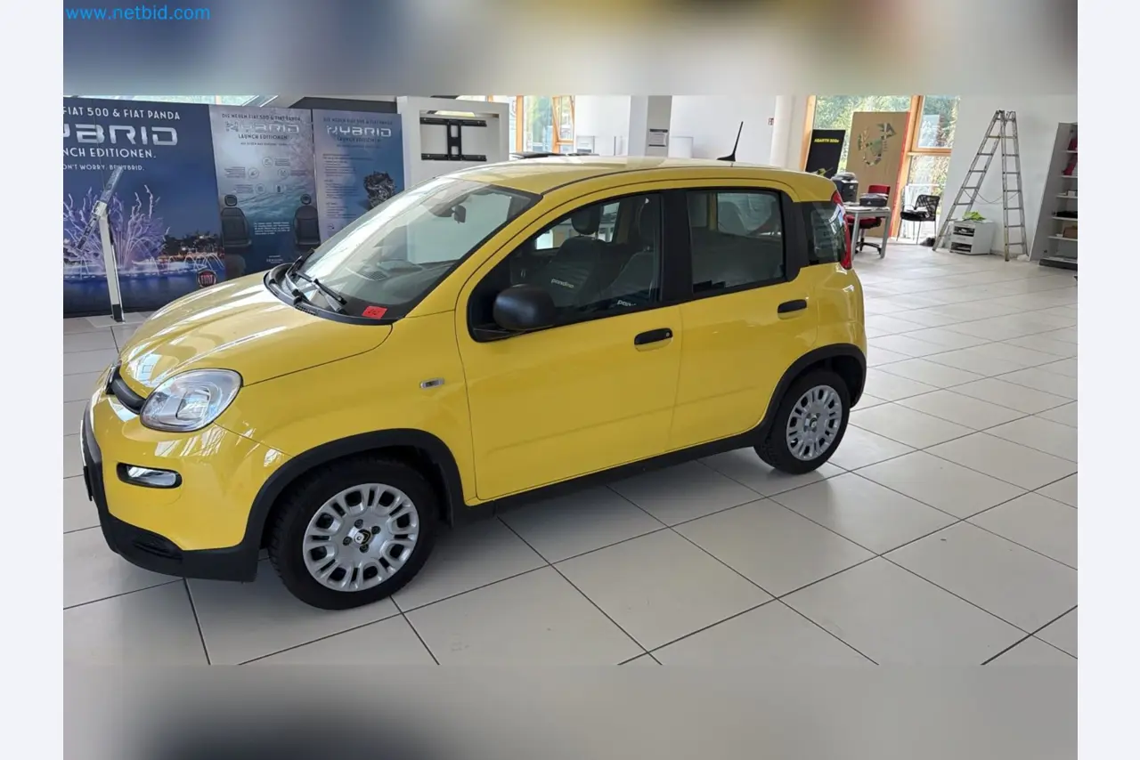 Passenger cars, electric cars, and automotive repair shop equipment at a Fiat dealership-1