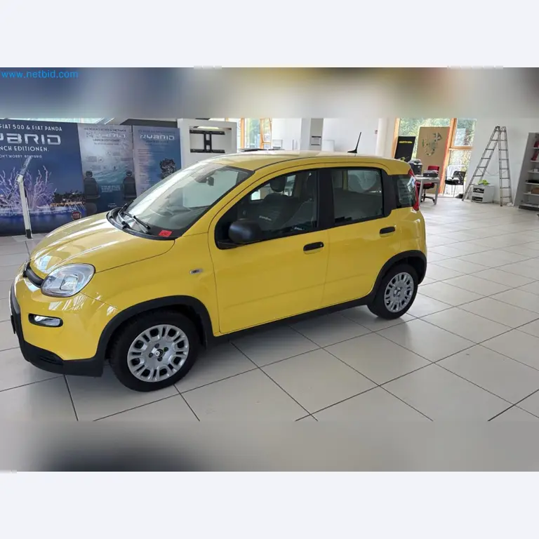 Passenger cars, electric cars, and automotive repair shop equipment at a Fiat dealership-1
