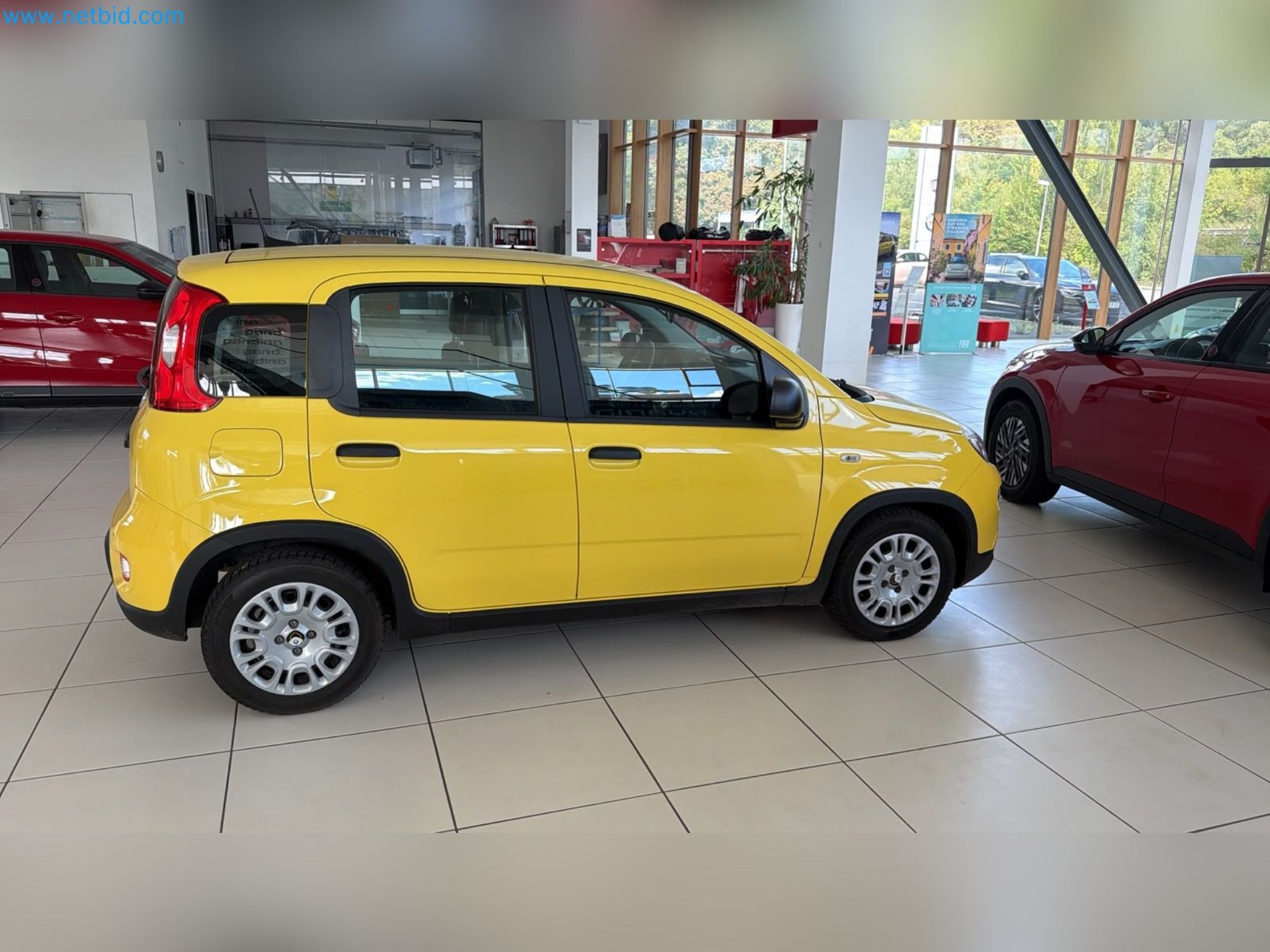 Passenger cars, electric cars, and automotive repair shop equipment at a Fiat dealership-6