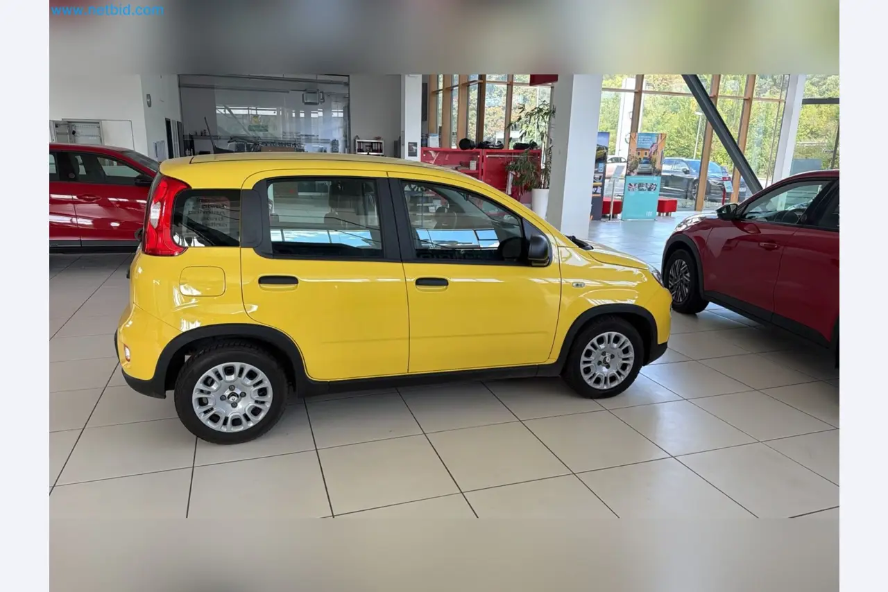Passenger cars, electric cars, and automotive repair shop equipment at a Fiat dealership-6