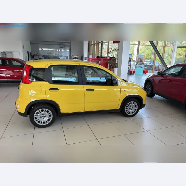 Passenger cars, electric cars, and automotive repair shop equipment at a Fiat dealership-6
