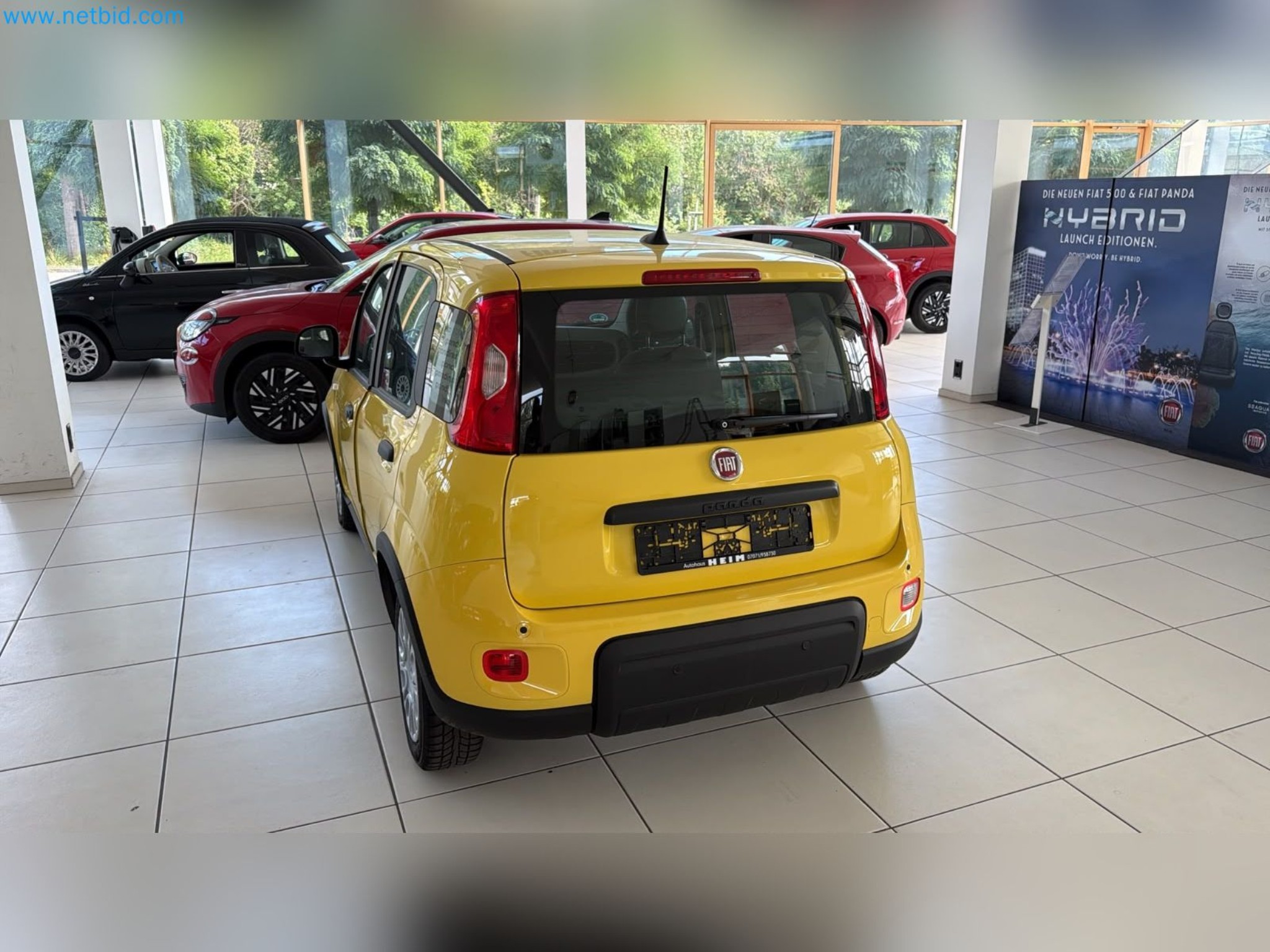 Passenger cars, electric cars, and automotive repair shop equipment at a Fiat dealership-7
