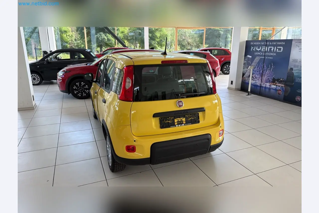 Passenger cars, electric cars, and automotive repair shop equipment at a Fiat dealership-7