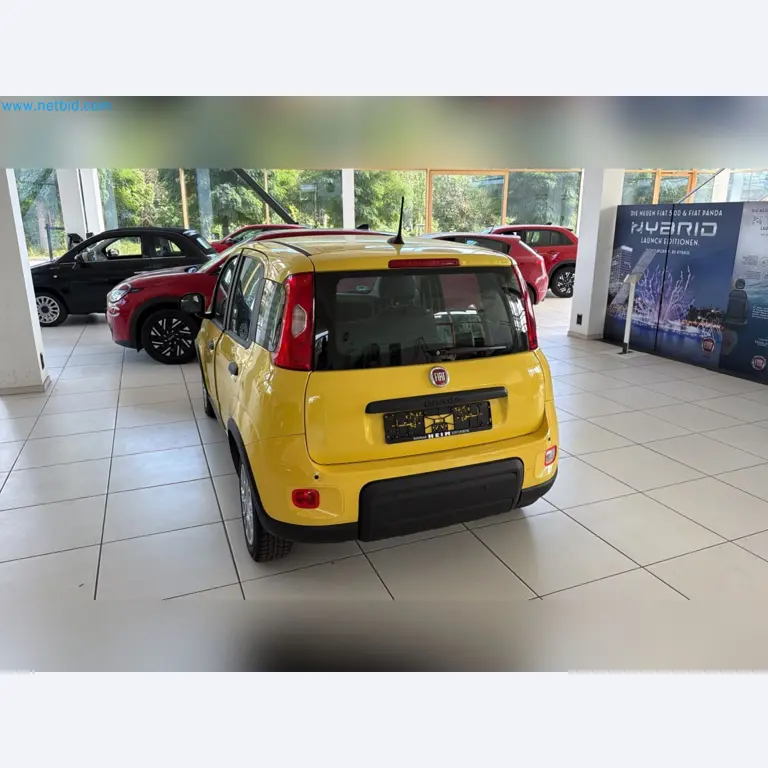 Passenger cars, electric cars, and automotive repair shop equipment at a Fiat dealership-7