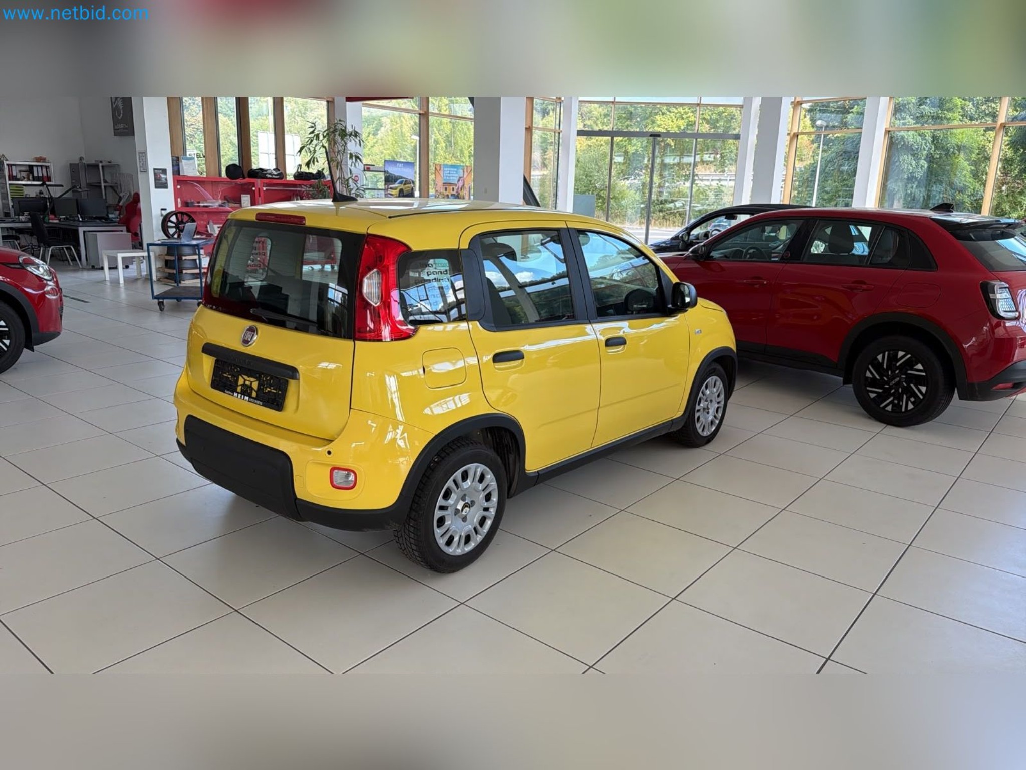 Passenger cars, electric cars, and automotive repair shop equipment at a Fiat dealership-8