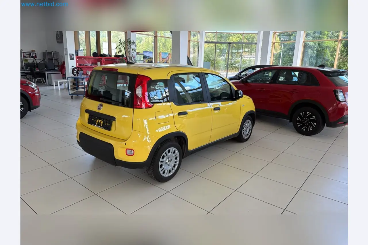 Passenger cars, electric cars, and automotive repair shop equipment at a Fiat dealership-8