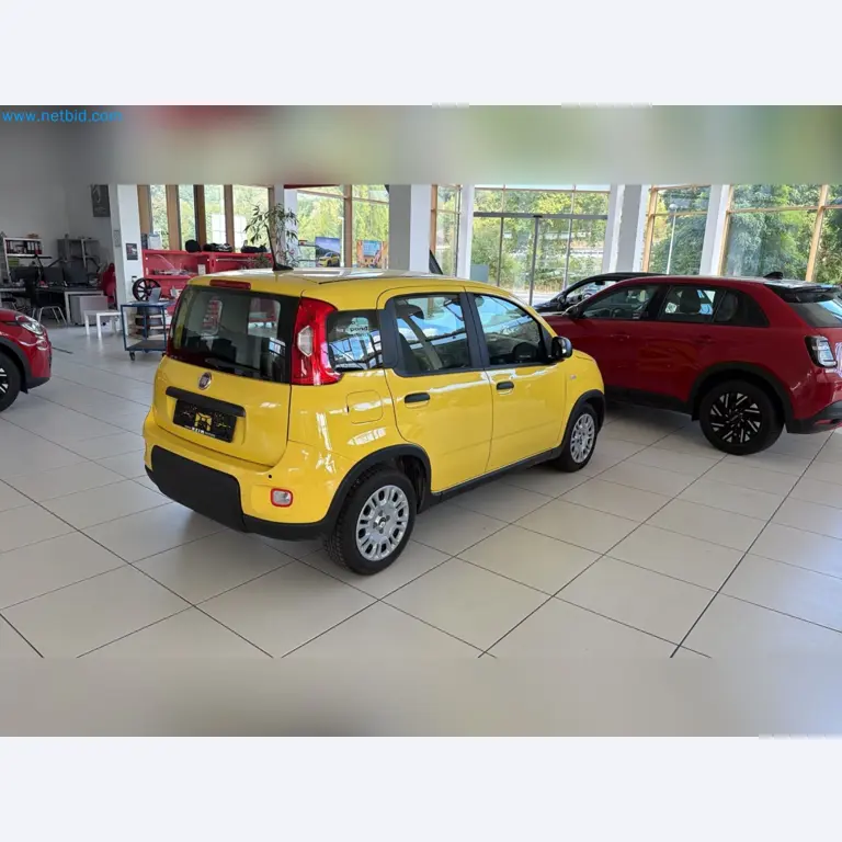 Passenger cars, electric cars, and automotive repair shop equipment at a Fiat dealership-8