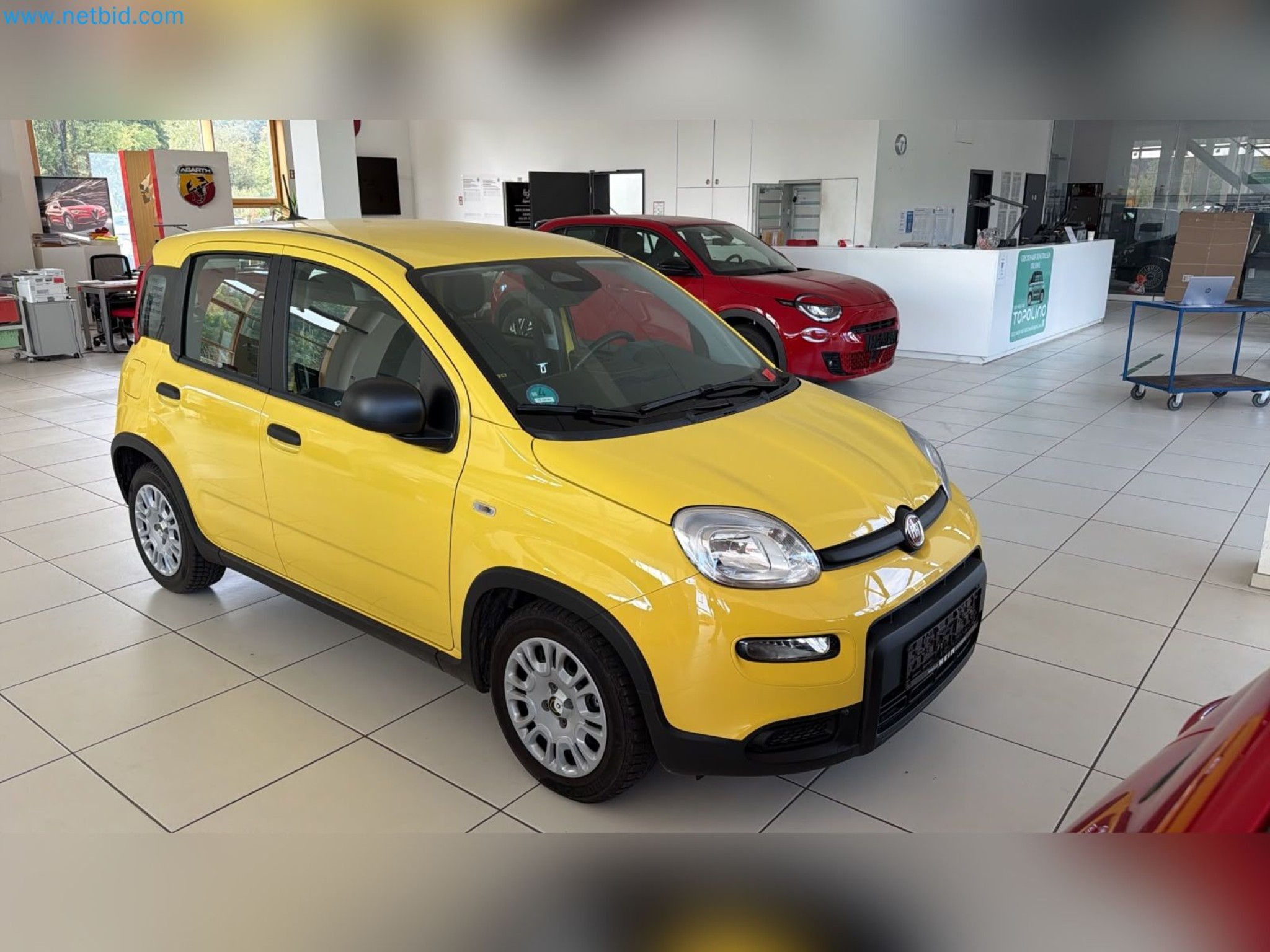 Passenger cars, electric cars, and automotive repair shop equipment at a Fiat dealership-9