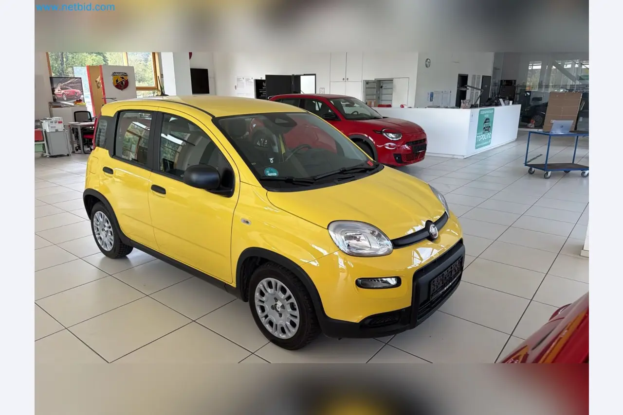 Passenger cars, electric cars, and automotive repair shop equipment at a Fiat dealership-9