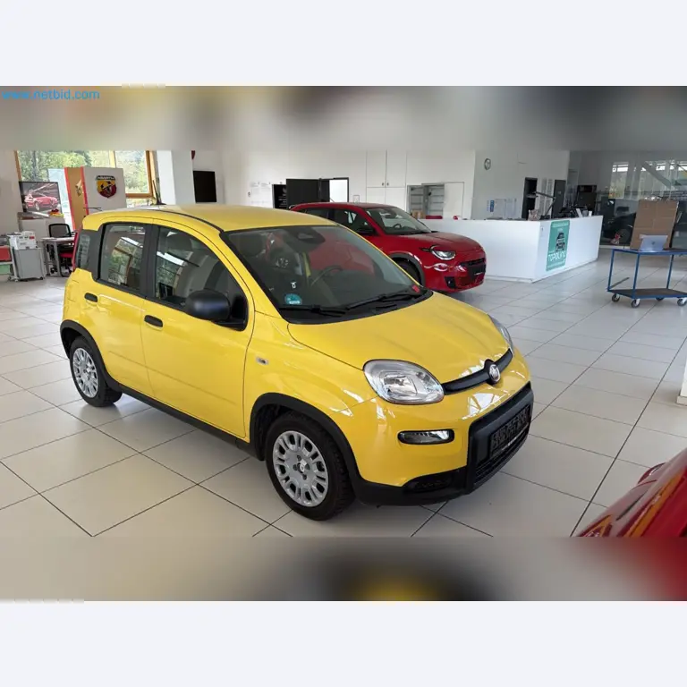 Passenger cars, electric cars, and automotive repair shop equipment at a Fiat dealership-9