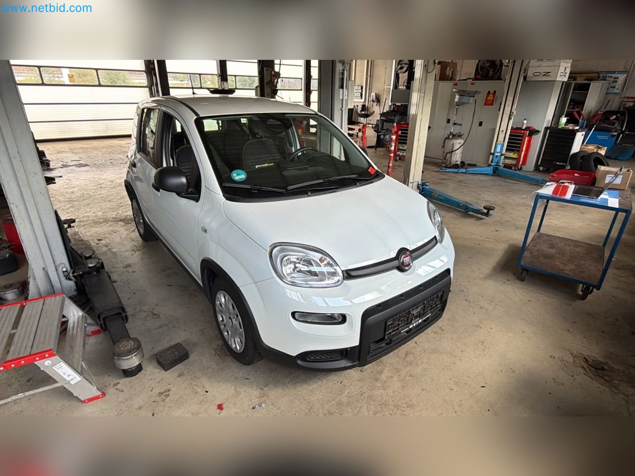 Osobní automobily, elektromobily a vybavení autoservisu v prodejně vozů Fiat-1