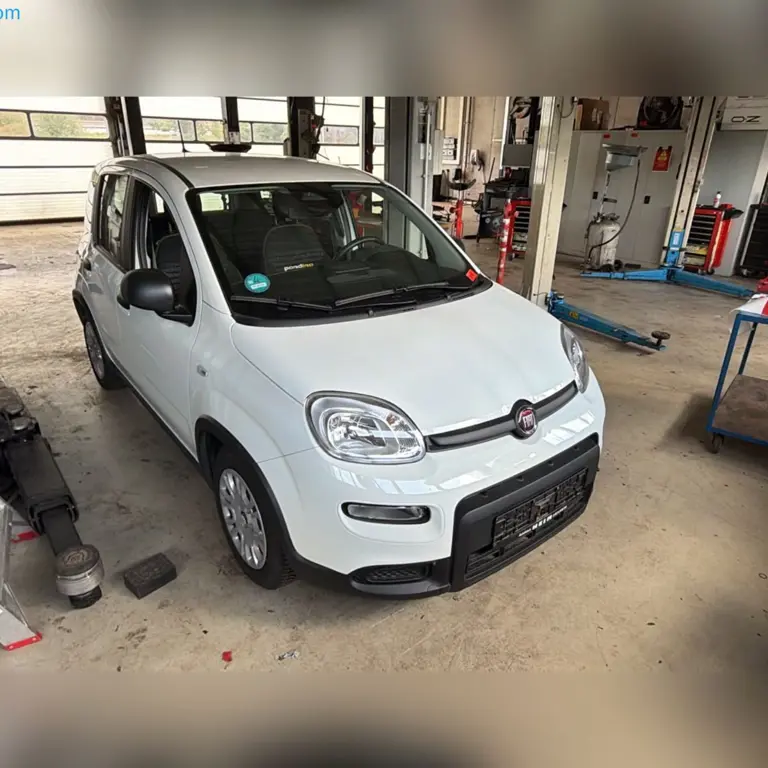 Passenger car Fiat Pandina 1.0 GSE