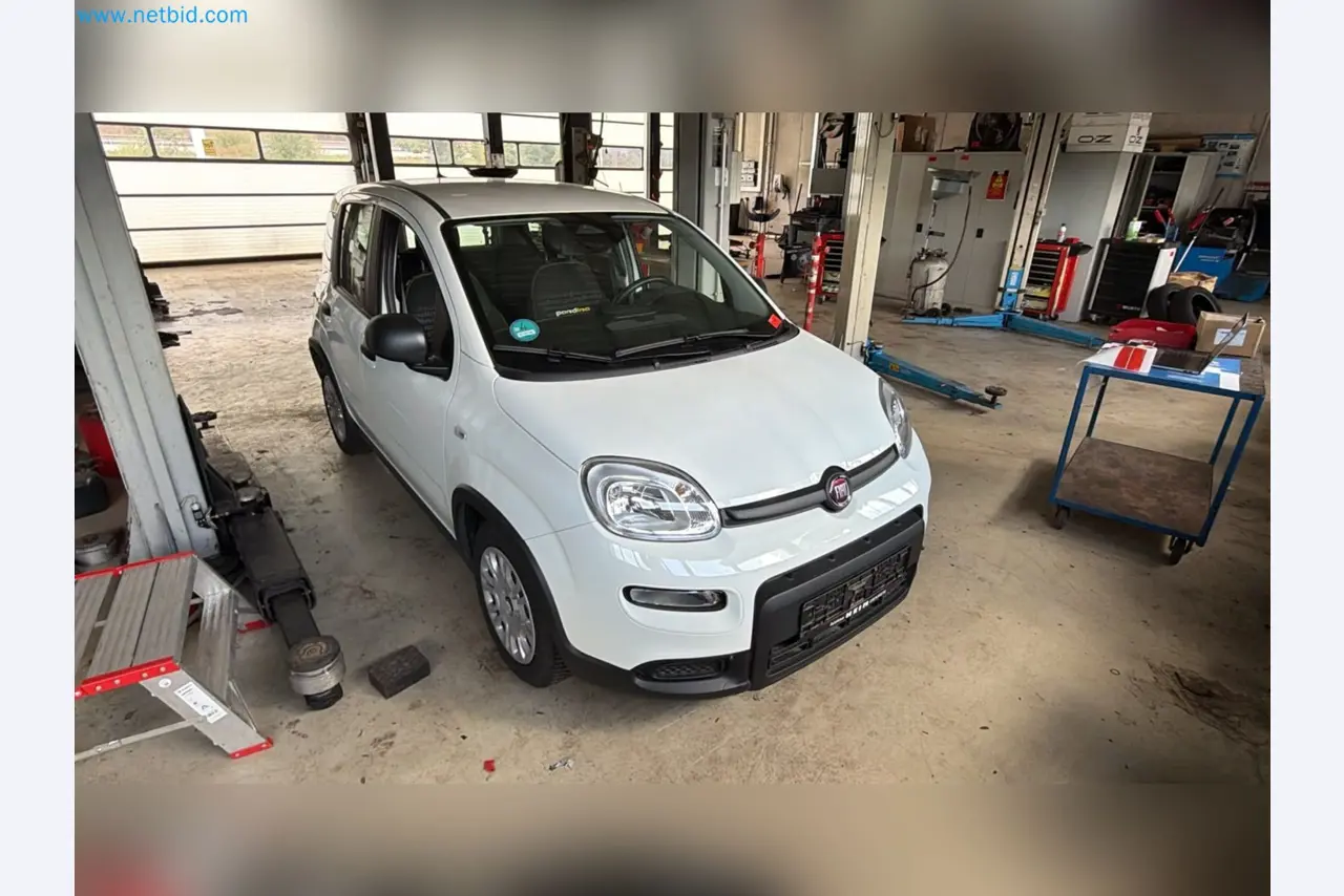 Osobní automobily, elektromobily a vybavení autoservisu v prodejně vozů Fiat-1