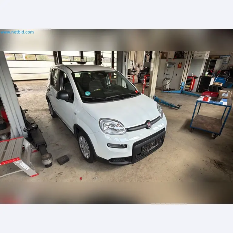 Osobní automobily, elektromobily a vybavení autoservisu v prodejně vozů Fiat-1