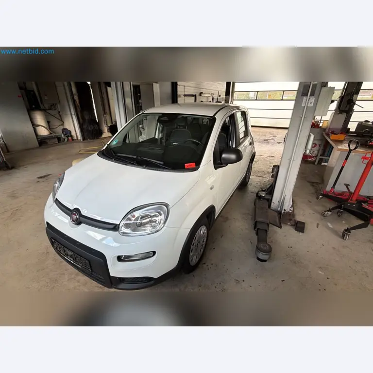 Osobní automobily, elektromobily a vybavení autoservisu v prodejně vozů Fiat-2