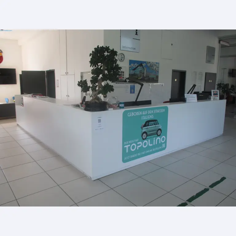 Passenger cars, electric cars, and automotive repair shop equipment at a Fiat dealership-1