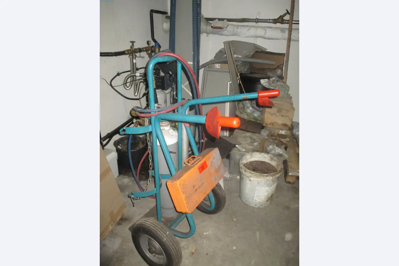 Passenger cars, electric cars, and automotive repair shop equipment at a Fiat dealership-1