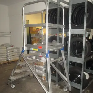 Step Ladder Zarges