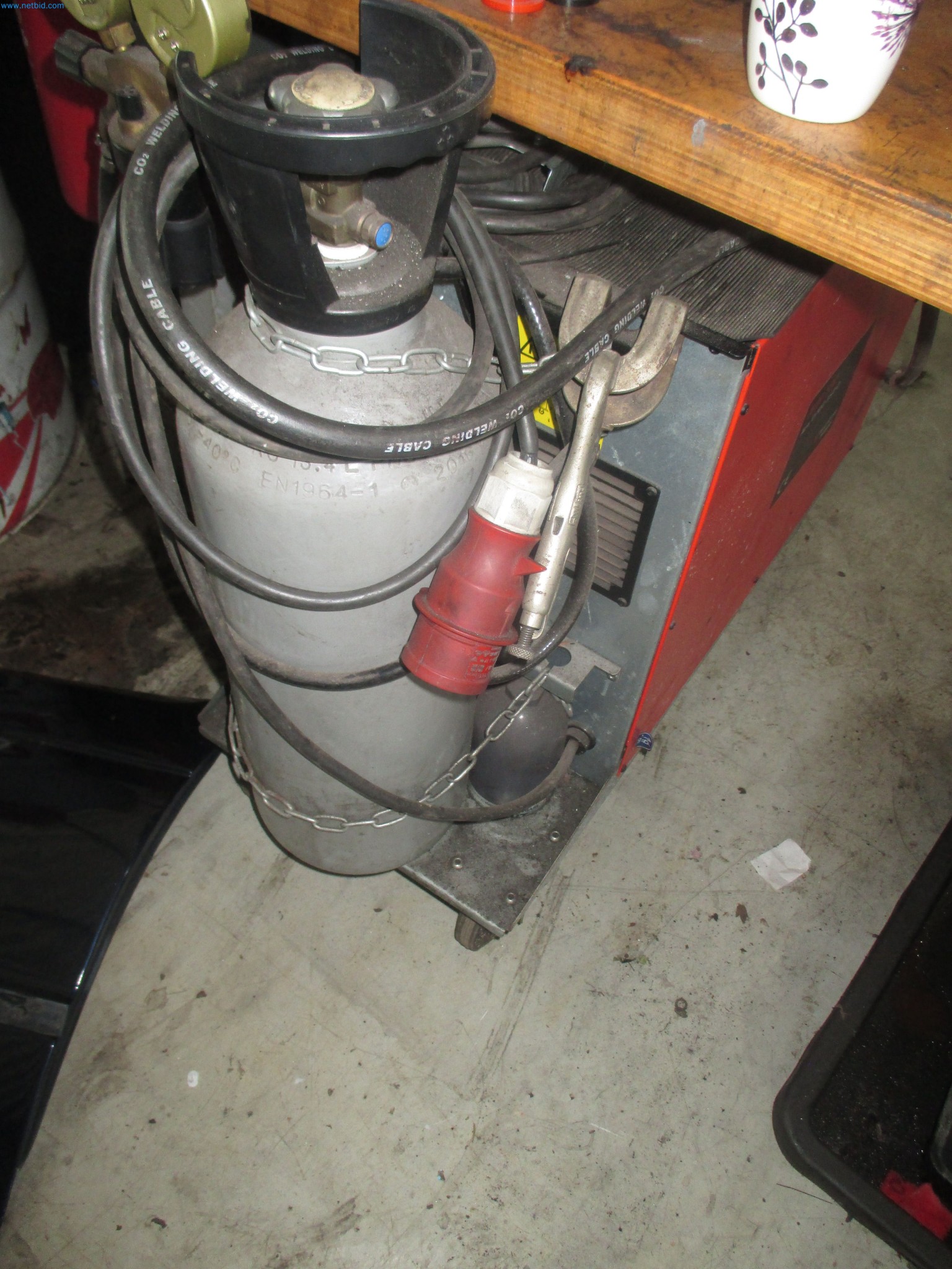 Passenger cars, electric cars, and automotive repair shop equipment at a Fiat dealership-3