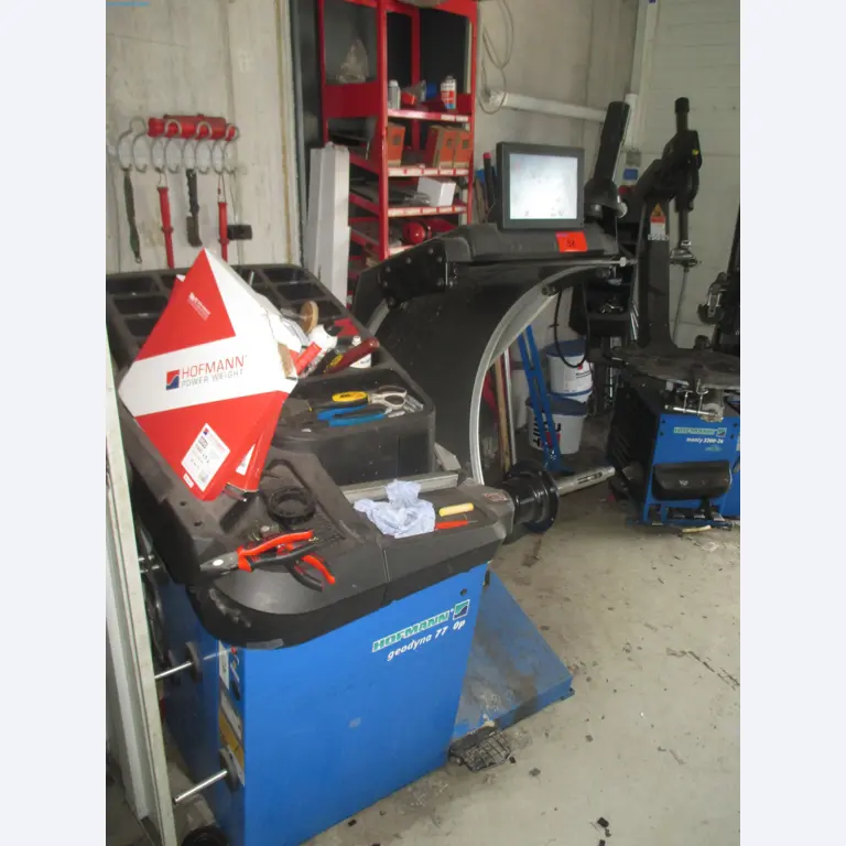 Passenger cars, electric cars, and automotive repair shop equipment at a Fiat dealership-2