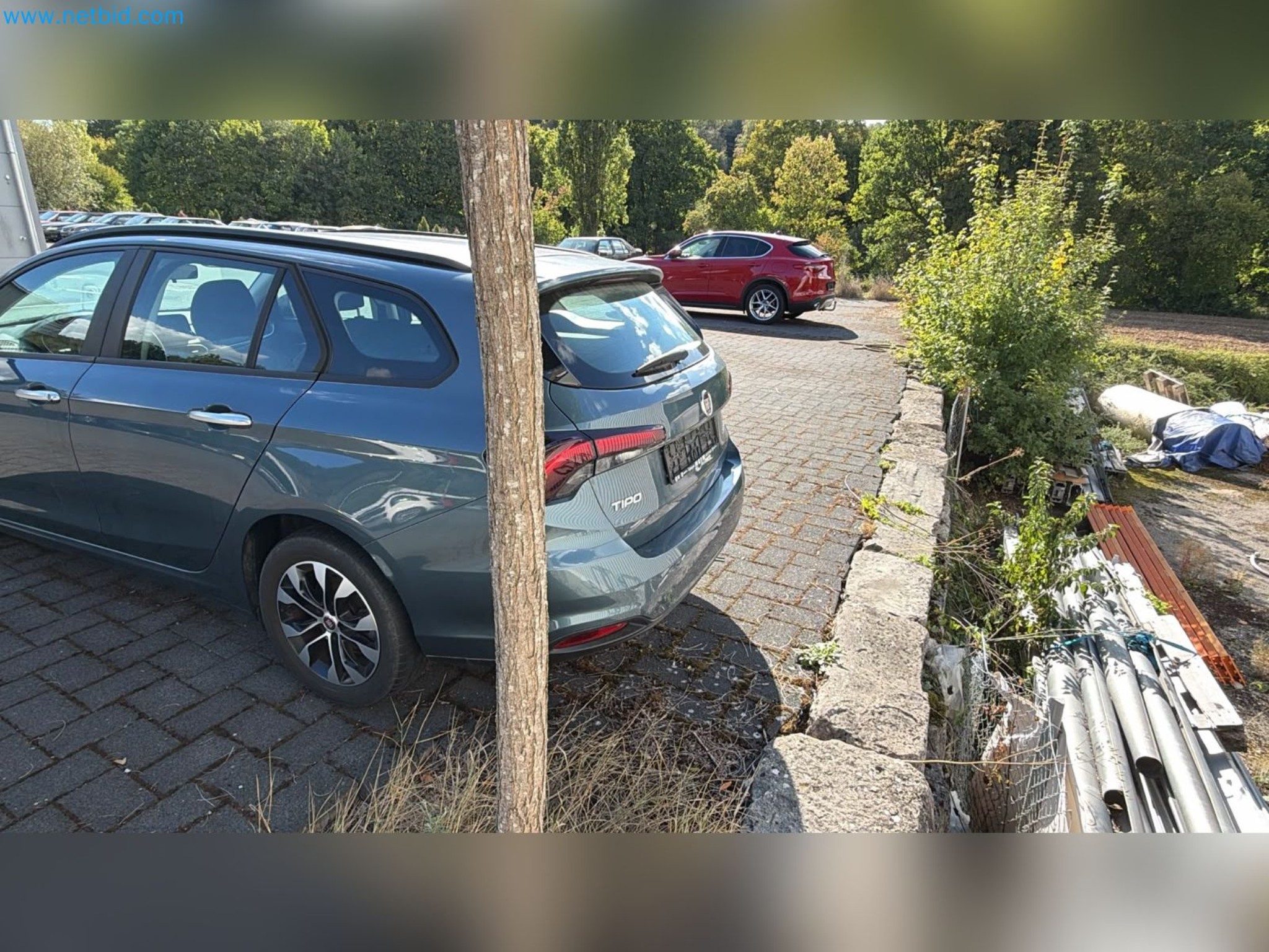 Passenger cars, electric cars, and automotive repair shop equipment at a Fiat dealership-6