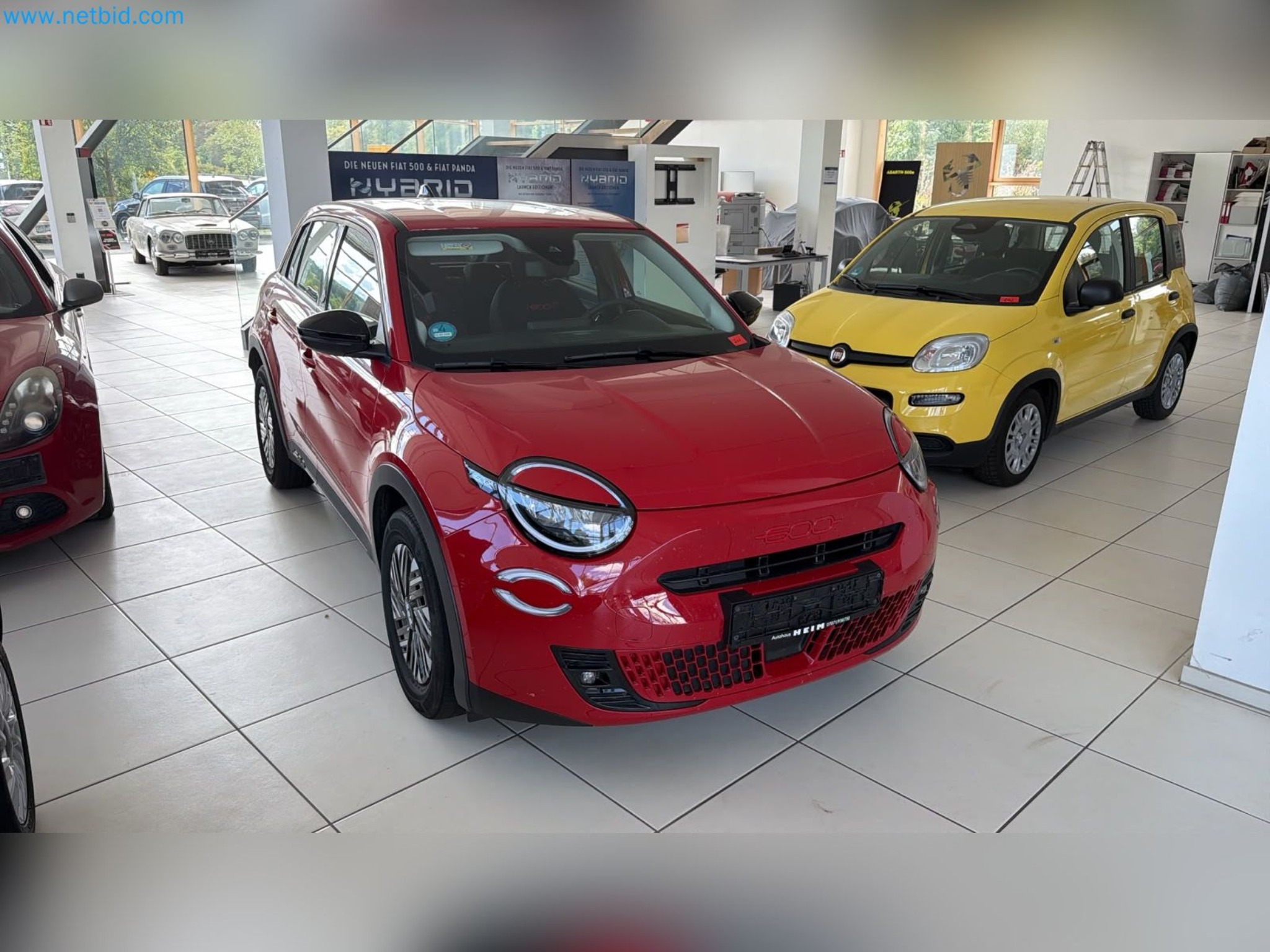 Passenger cars, electric cars, and automotive repair shop equipment at a Fiat dealership-1