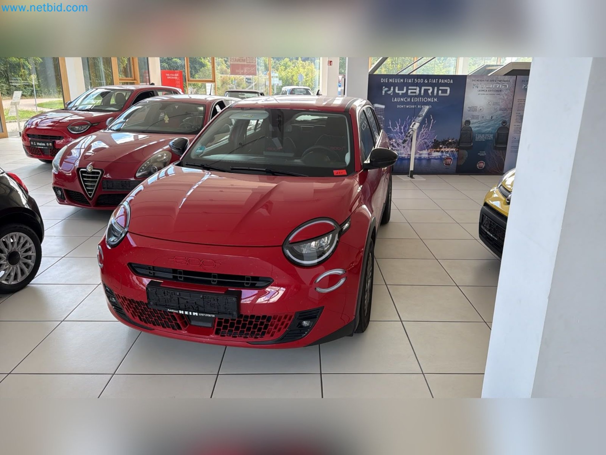 Passenger cars, electric cars, and automotive repair shop equipment at a Fiat dealership-5