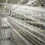 thumbnail-Werksschließung bei Balta Industries (Belgien) – Produktionsstätten eines Teppichherstellers-12
