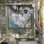 thumbnail-Plant closure at Balta Industries (Belgium) - production facilities of a carpet manufacturer-26