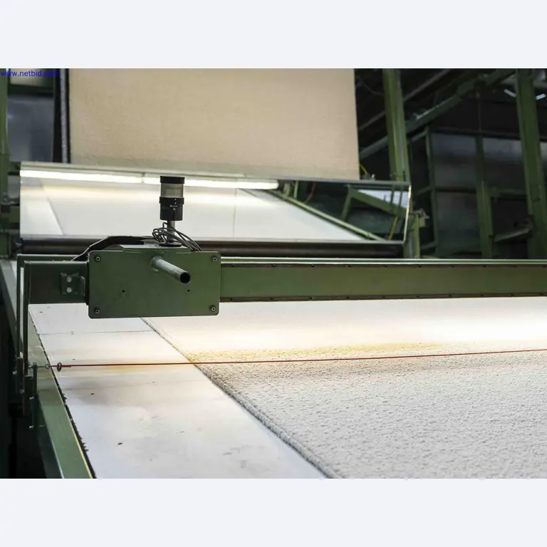 Plant closure at Balta Industries (Belgium) - production facilities of a carpet manufacturer-9