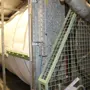 thumbnail-Plant closure at Balta Industries (Belgium) - production facilities of a carpet manufacturer-7