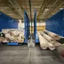 thumbnail-Plant closure at Balta Industries (Belgium) - production facilities of a carpet manufacturer-9