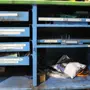 thumbnail-Plant closure at Balta Industries (Belgium) - production facilities of a carpet manufacturer-7
