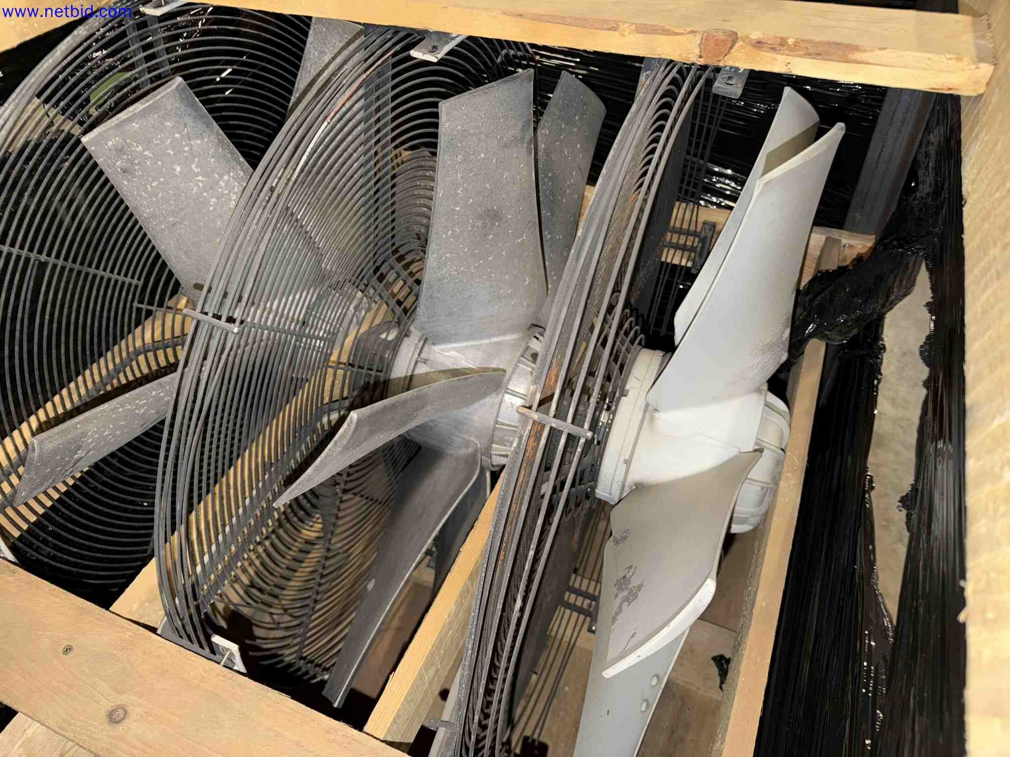 Plant closure at Balta Industries (Belgium) - production facilities of a carpet manufacturer-16