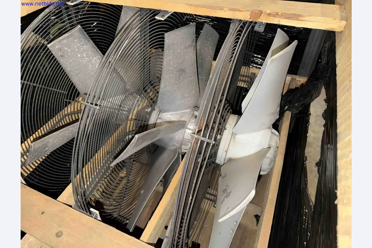 Plant closure at Balta Industries (Belgium) - production facilities of a carpet manufacturer-16
