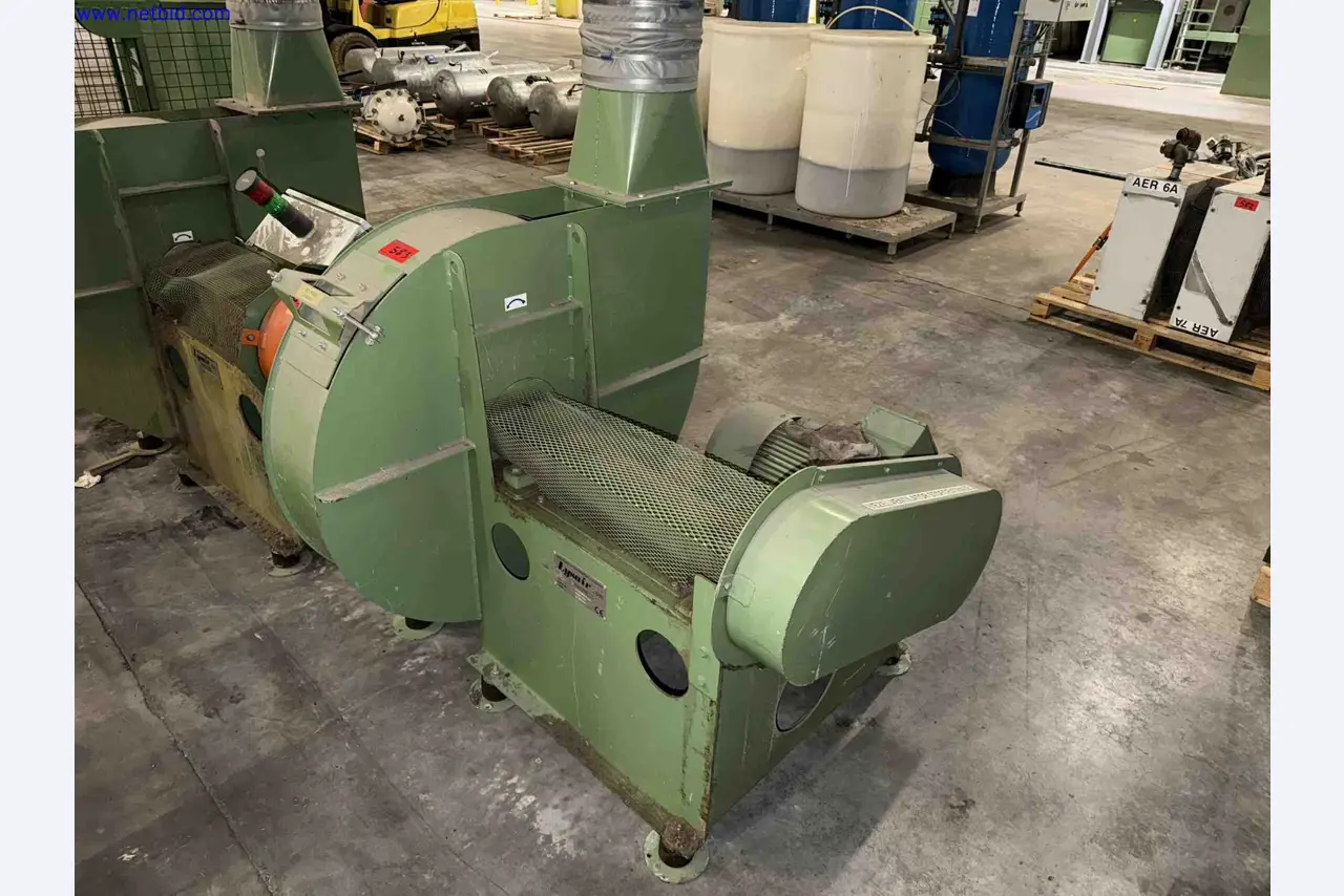 Plant closure at Balta Industries (Belgium) - production facilities of a carpet manufacturer-19