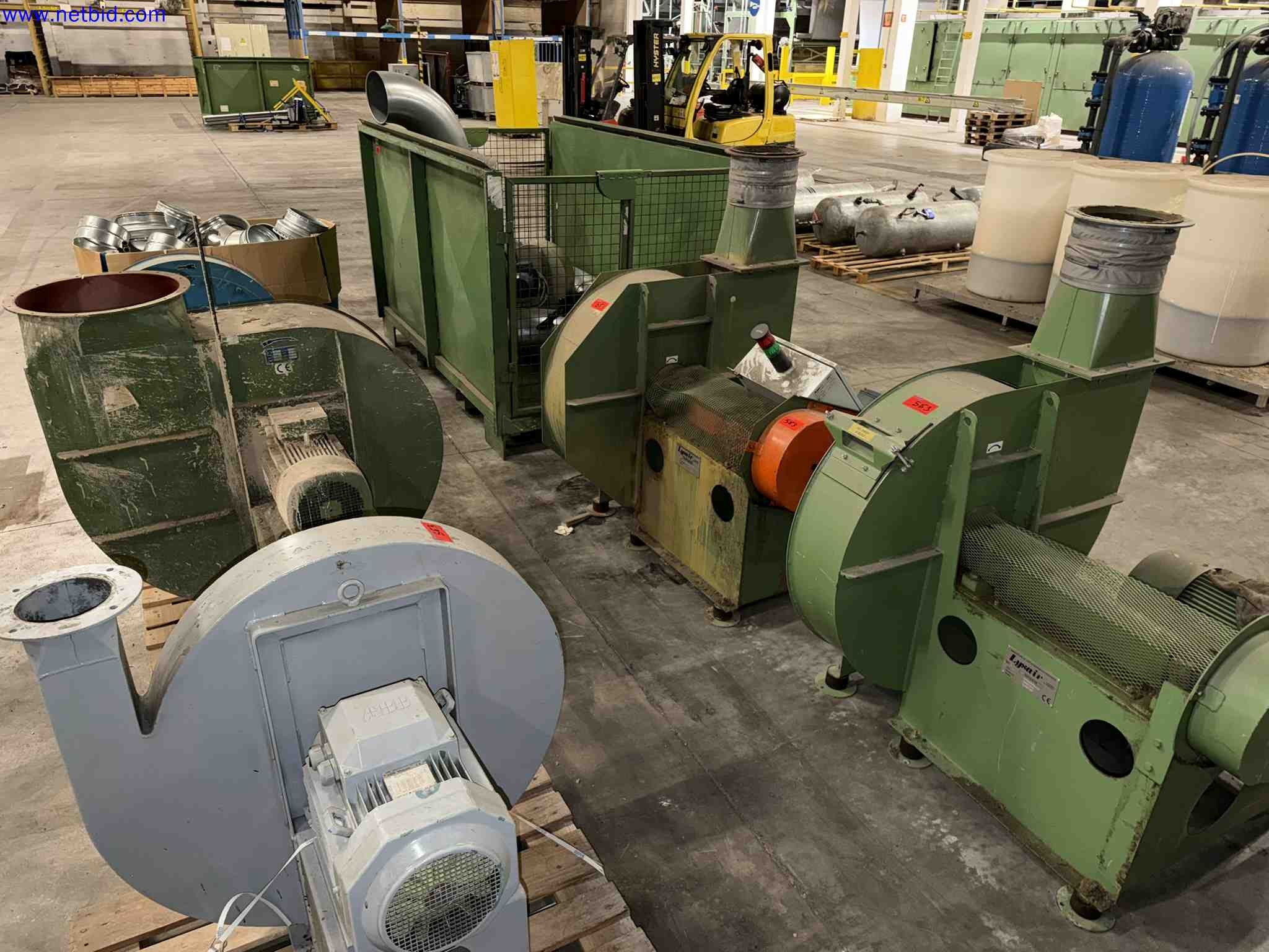 Plant closure at Balta Industries (Belgium) - production facilities of a carpet manufacturer-1
