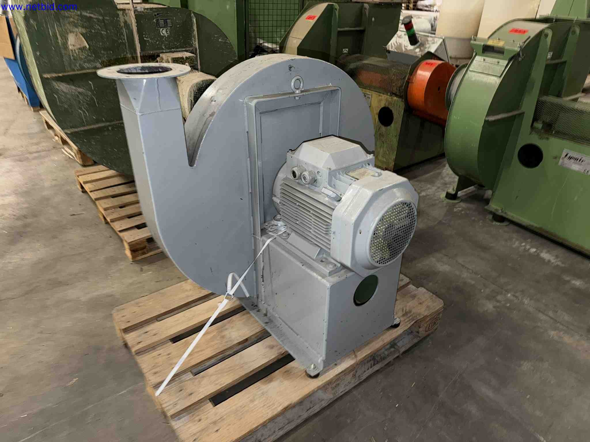 Plant closure at Balta Industries (Belgium) - production facilities of a carpet manufacturer-5