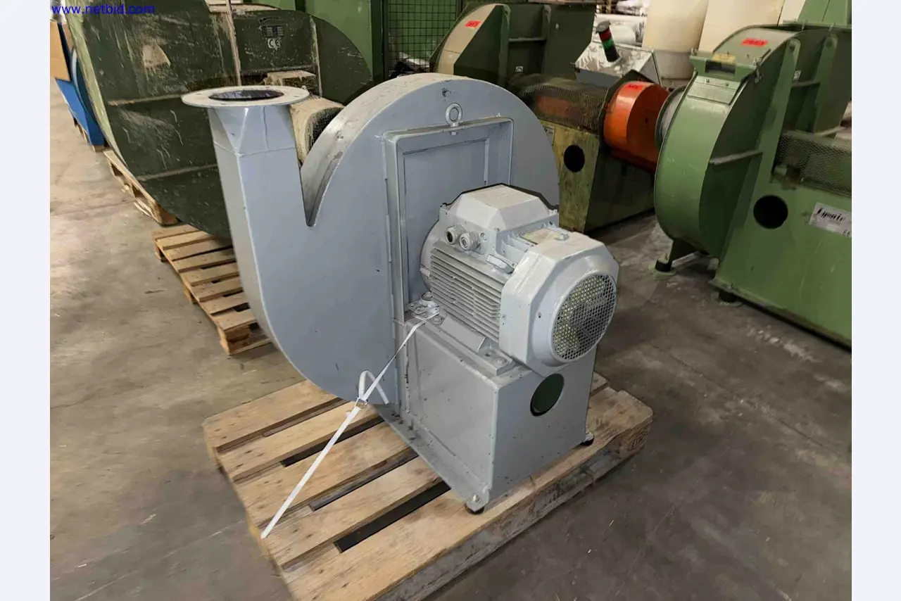 Plant closure at Balta Industries (Belgium) - production facilities of a carpet manufacturer-5