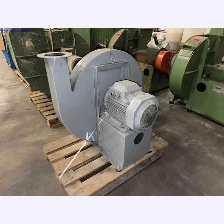 Plant closure at Balta Industries (Belgium) - production facilities of a carpet manufacturer-5