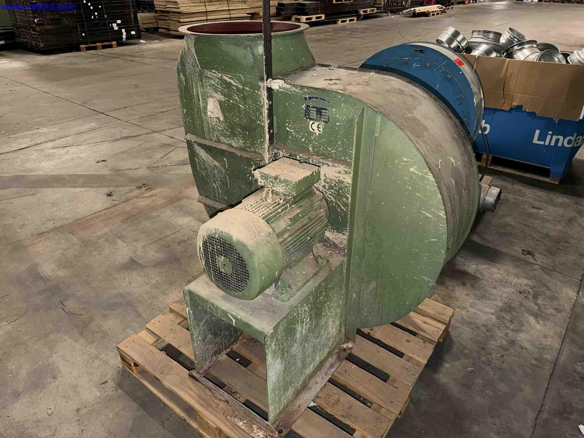 Plant closure at Balta Industries (Belgium) - production facilities of a carpet manufacturer-8