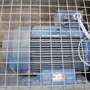 thumbnail-Plant closure at Balta Industries (Belgium) - production facilities of a carpet manufacturer-10