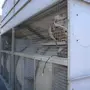 thumbnail-Plant closure at Balta Industries (Belgium) - production facilities of a carpet manufacturer-15