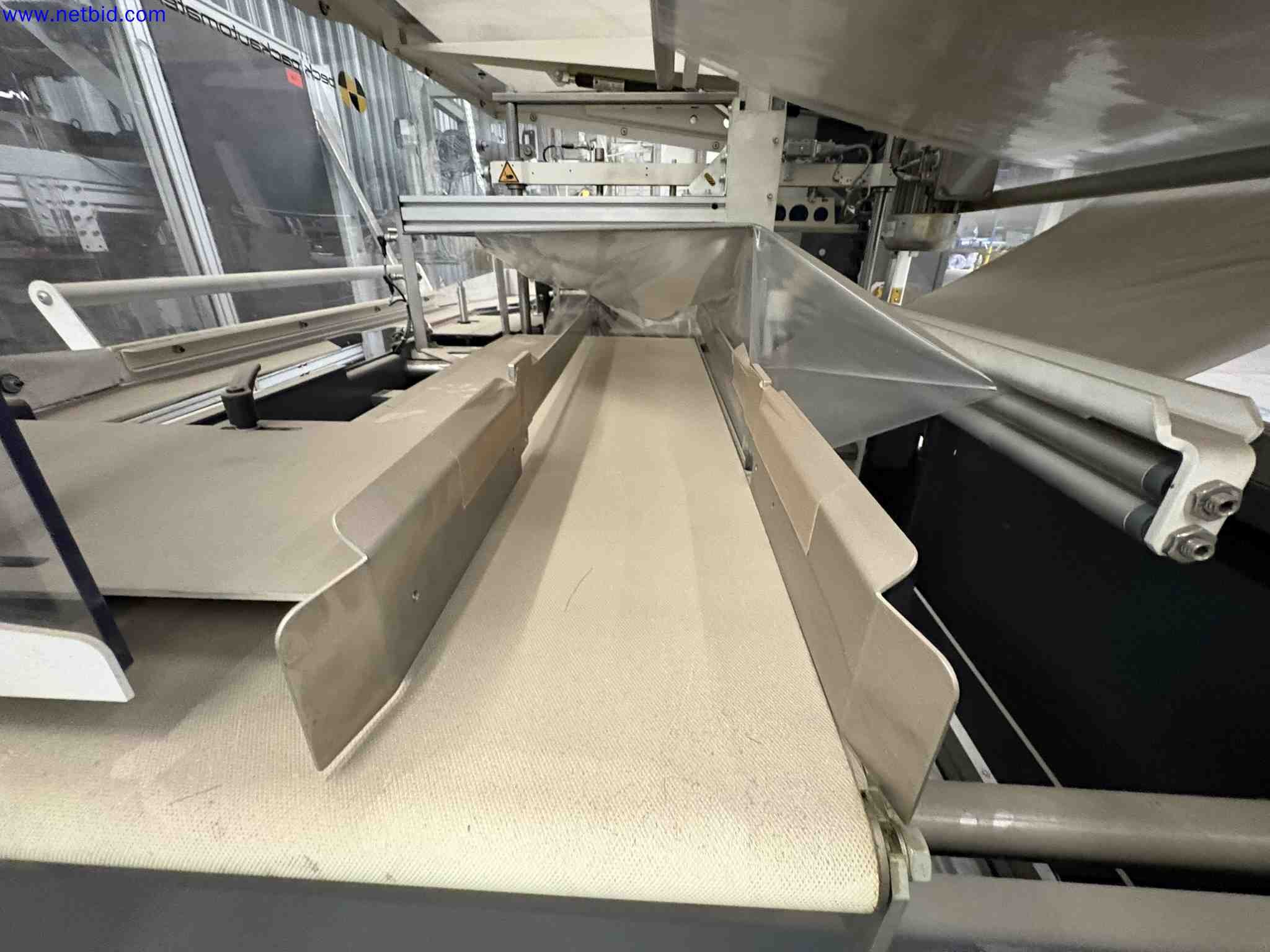 2 Packautomaten Film Packaging Line with Shrink Tunnel Beck – foto 6 – kavel bij NetBid, Sint Baafs Vijve